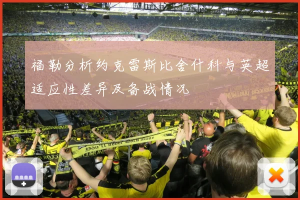 福勒分析约克雷斯比舍什科与英超适应性差异及备战情况