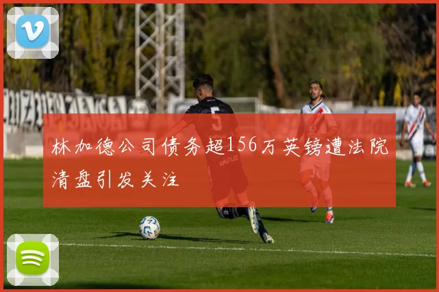 林加德公司债务超156万英镑遭法院清盘引发关注